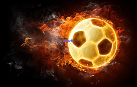 海港新援古斯塔沃正式亮相，河南官宣铜靴加盟引爆中超转会市场