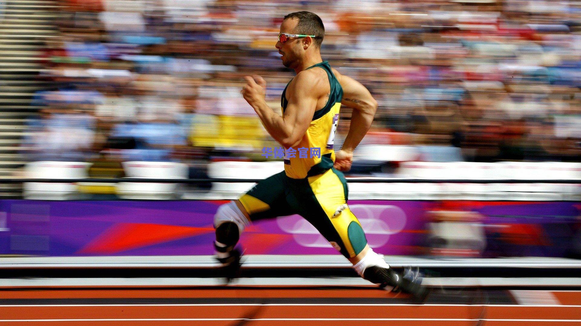 小白赛事秘籍之2019年击剑俱乐部联赛年度总决赛，剑锋所至，梦想启航