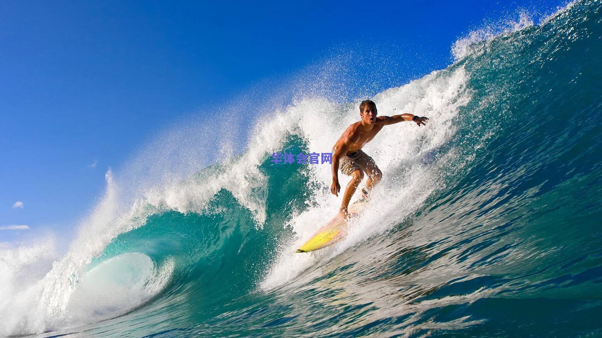 蒙特拉盛赞加斯佩里尼战术体系,罗马前场实力强大但需整体平衡