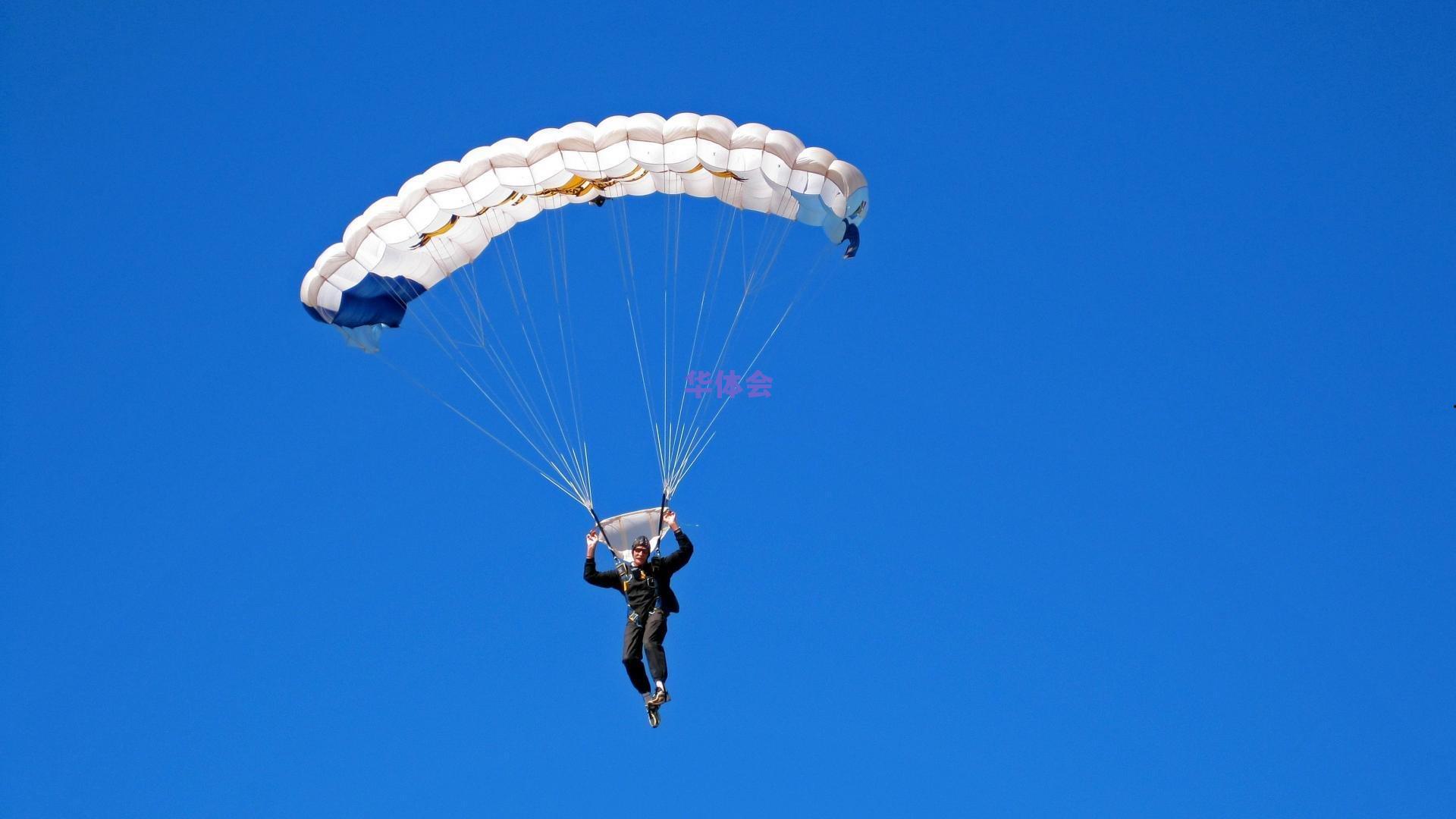 斯普利特谈内线轮换,克林根与罗威状态火热,杨翰森暂未获出场时间